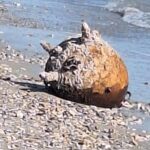 На Одещині знищили російську морську міну