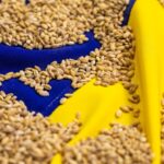 Став відомий найбільший імпортер агропродукції України серед країн ЄС