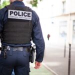 У Франції поліція другу добу шукає удава, що втік з тераріуму