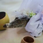 У Мексиці мер одружився з кайманом