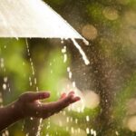 В Україні у вихідні без опадів, місцями короткочасні дощі