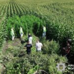 В Україні провели масштабну операцію Джентельмени