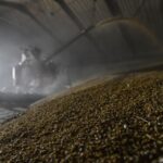 Росія втрачає позиції найбільшого агроекспортера - розвідка